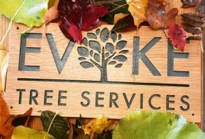 Evoke tree services logo on wood