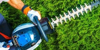 Hedge cutting service in Welwyn Garden City